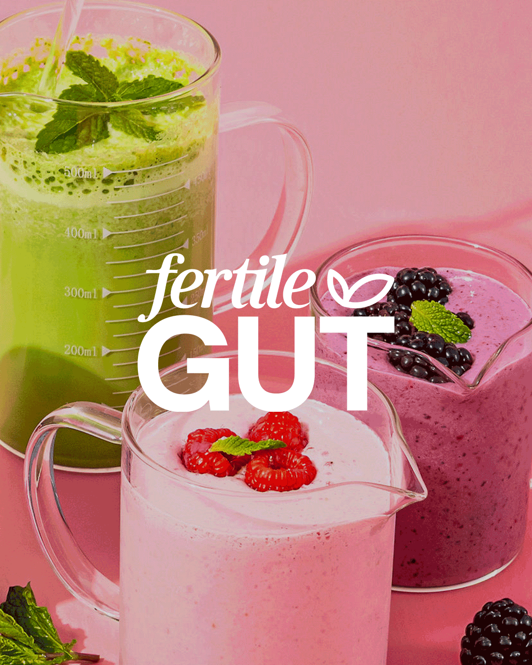 Portfolio: Fertile Gut Case Study Production Frame