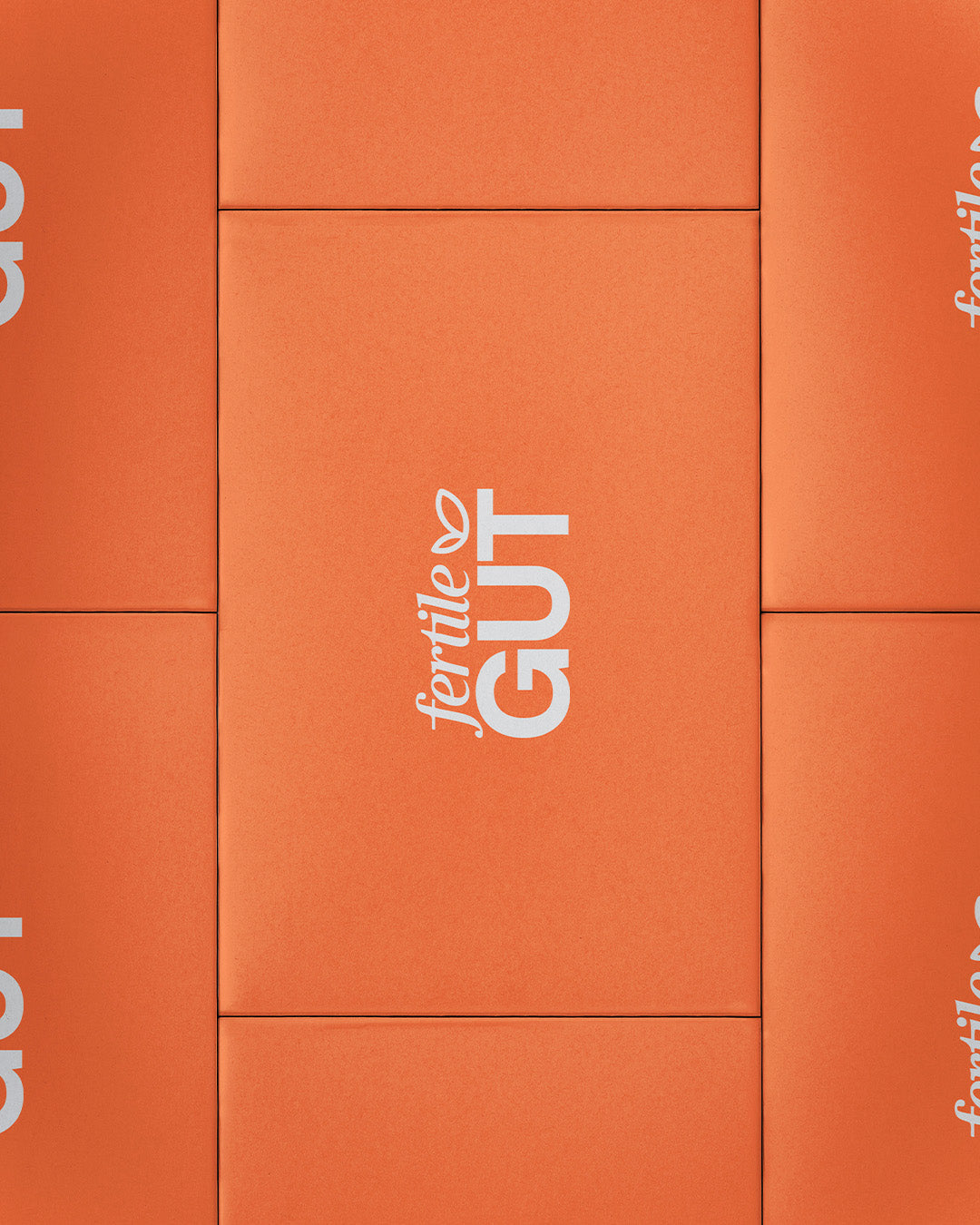 Portfolio: Fertile Gut Case Study Production Frame